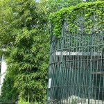 Zoological Gardens
