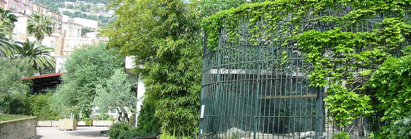 Zoological Gardens