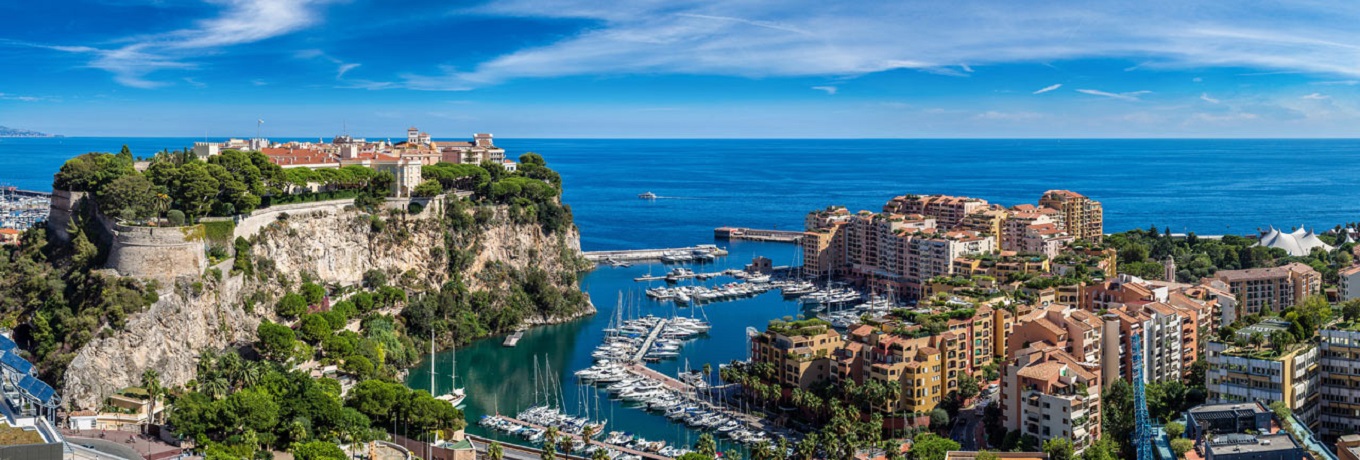 Monte Carlo properties